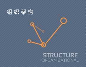 组织架构